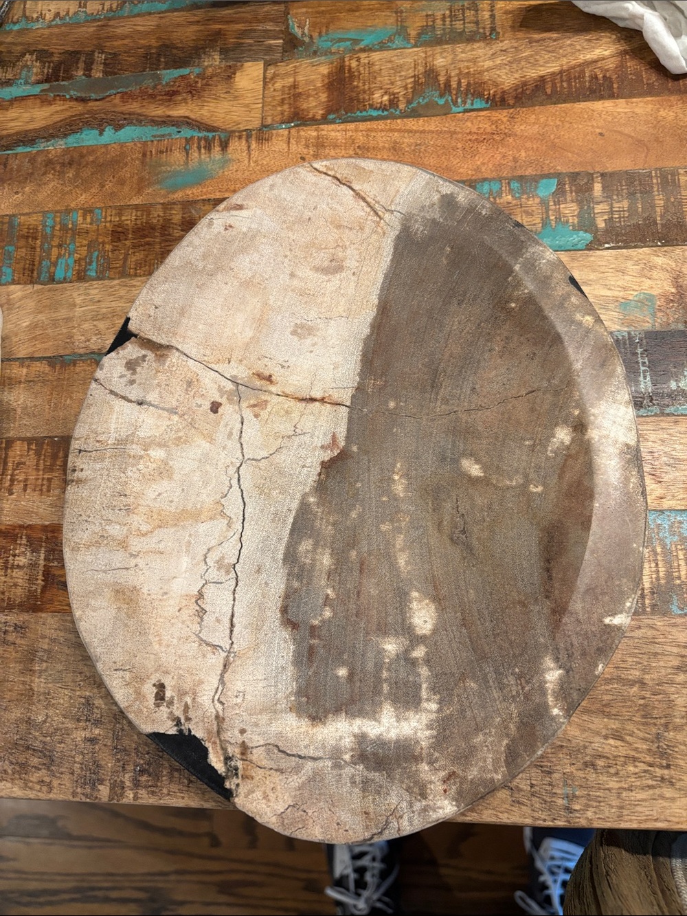 Large Petrified Wood Charcuterie West Elm MSRP $ 120 Never Used